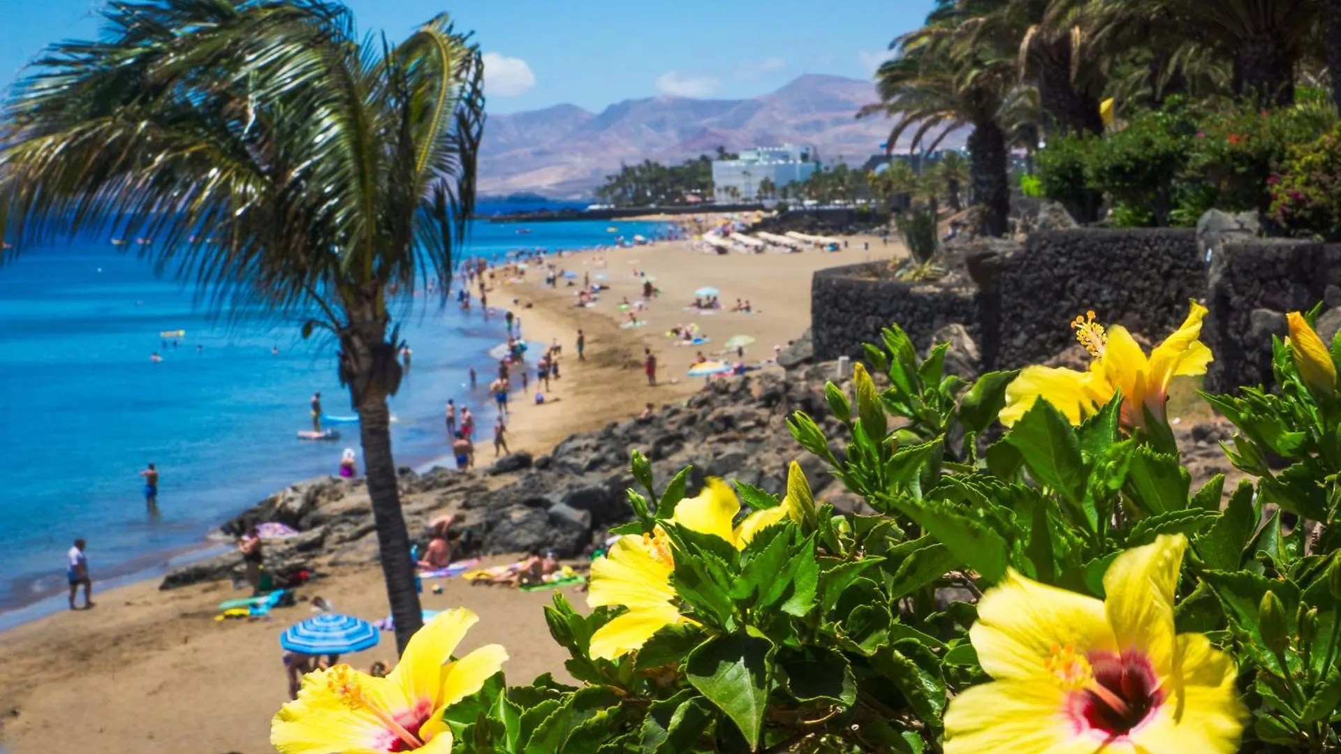 Luxury Ocean View Retreat 2Bedroom Apt With Jacuzzi Puerto del Carmen  Puerto del Carmen (Lanzarote)